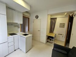 The Suites At Central (D9), Condominium #428961811